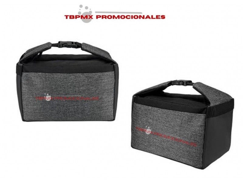 Lonchera termica plastificada capacidad 8 latas trucks promocional